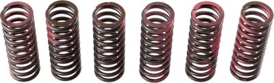Clutch Spring Set TRW MEF307-6