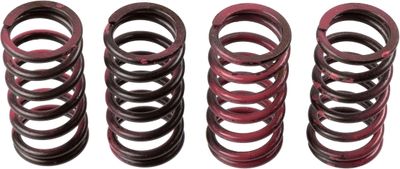 Clutch Spring Set TRW MEF311-4