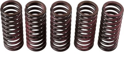 Clutch Spring Set TRW MEF312-5