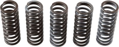 Clutch Spring Set TRW MEF314-5