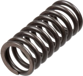 Clutch Spring Set TRW MEF316-5