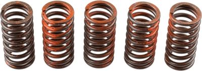 Clutch Spring Set TRW MEF317-5
