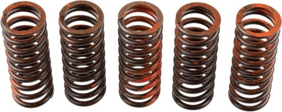 TRW MEF318-5 Clutch Spring Set