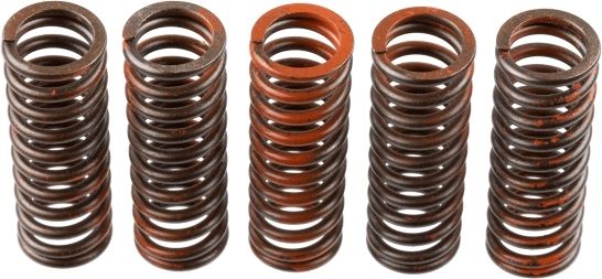 TRW MEF321-5 Clutch Spring Set