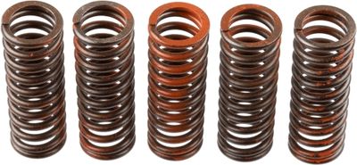 Clutch Spring Set TRW MEF321-5