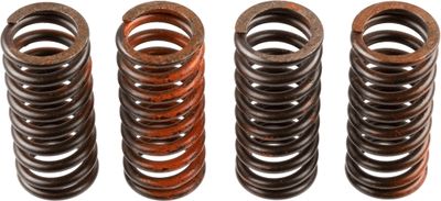 Clutch Spring Set TRW MEF322-4