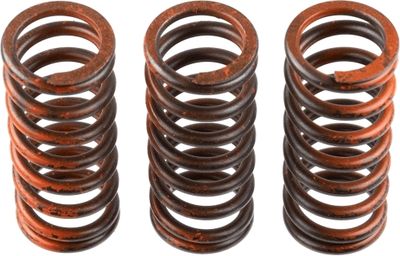 Clutch Spring Set TRW MEF324-3