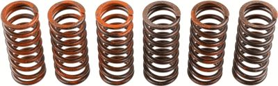 Clutch Spring Set TRW MEF325-6