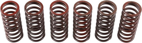 TRW MEF326-6 Clutch Spring Set