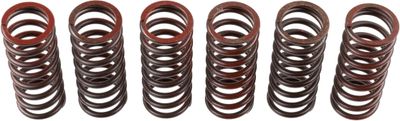 Clutch Spring Set TRW MEF326-6