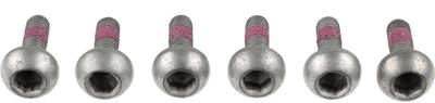 Screw Set, brake disc TRW MSS120-6
