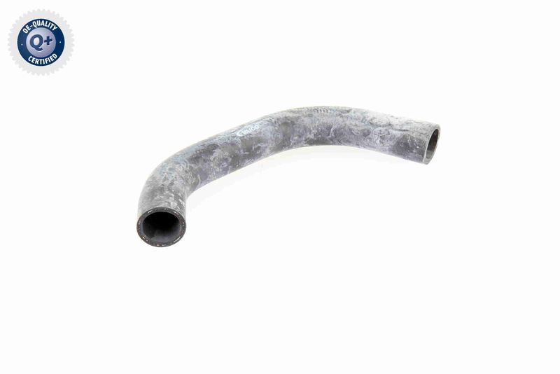 VAICO V10-0065 Radiator Hose
