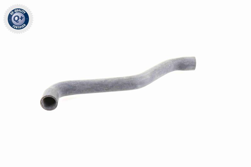 VAICO V10-0074 Radiator Hose
