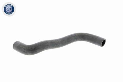 Radiator Hose VAICO V10-0361