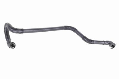 Hose, crankcase ventilation VAICO V10-0739