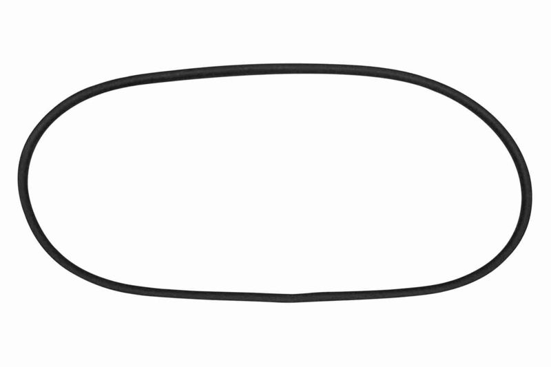 VAICO V10-0891 Seal, windscreen