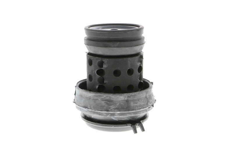 VAICO V10-1120 Mounting, engine