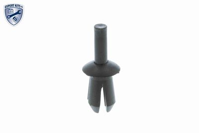 Expanding Rivet VAICO V10-2023