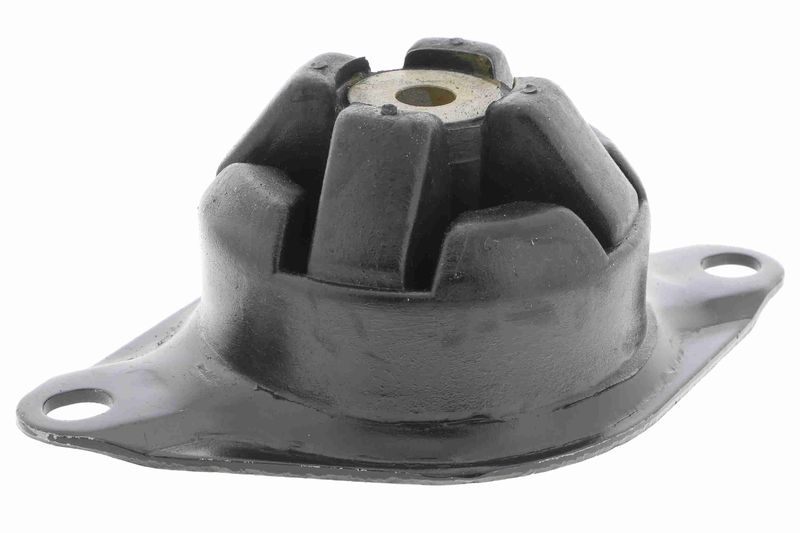 VAICO V10-2430 Mounting, engine