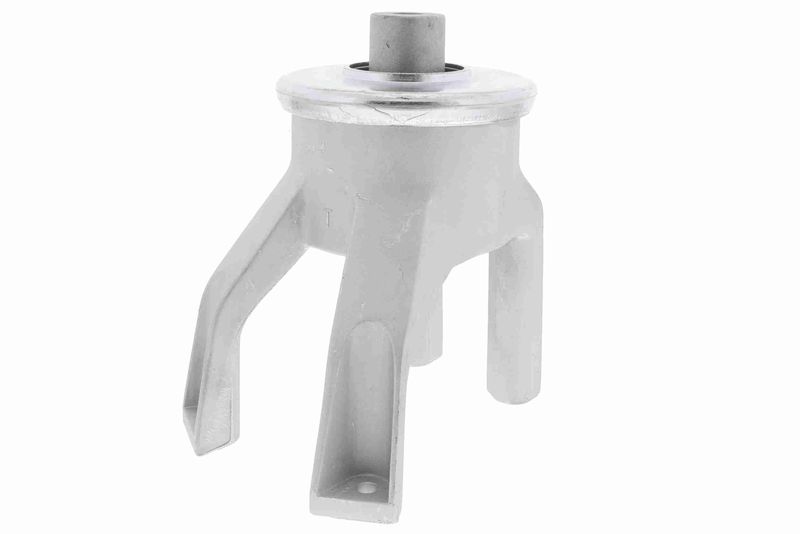 VAICO V10-2432 Mounting, engine