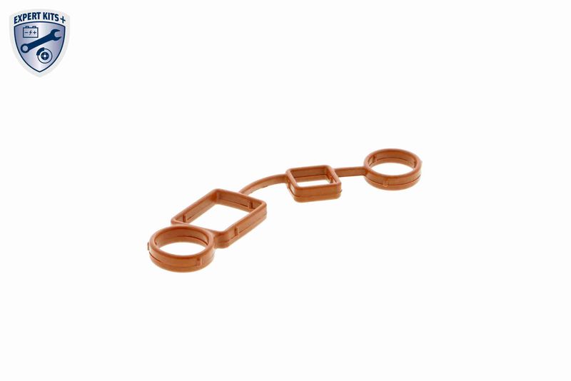 VAICO V10-2559 Gasket, cylinder head cover