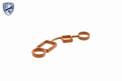 Gasket, cylinder head cover VAICO V10-2559