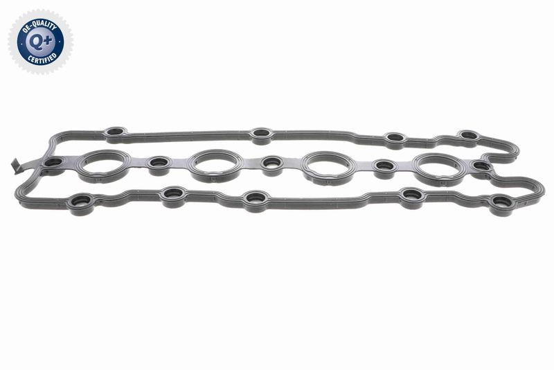 VAICO V10-2561 Gasket, cylinder head cover