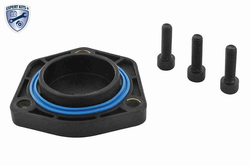 VAICO V10-2638 Gasket, oil sump