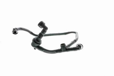 Hose, crankcase ventilation VAICO V10-2677