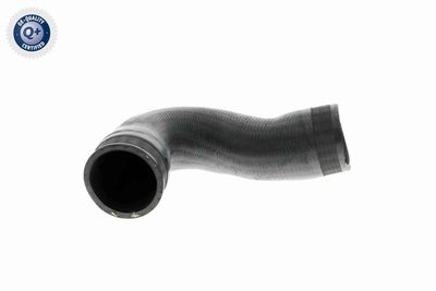 Charge Air Hose VAICO V10-2702