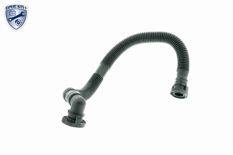 VAICO V10-2779 Hose, crankcase ventilation