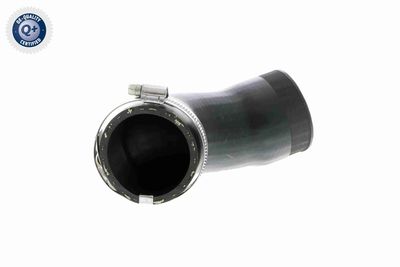 Charge Air Hose VAICO V10-2831