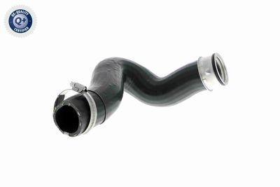 Charge Air Hose VAICO V10-2837