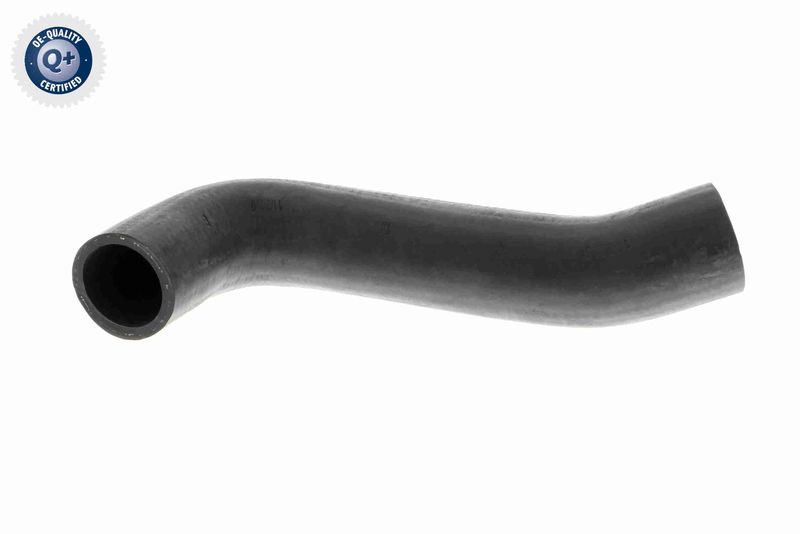 VAICO V10-2844 Charge Air Hose