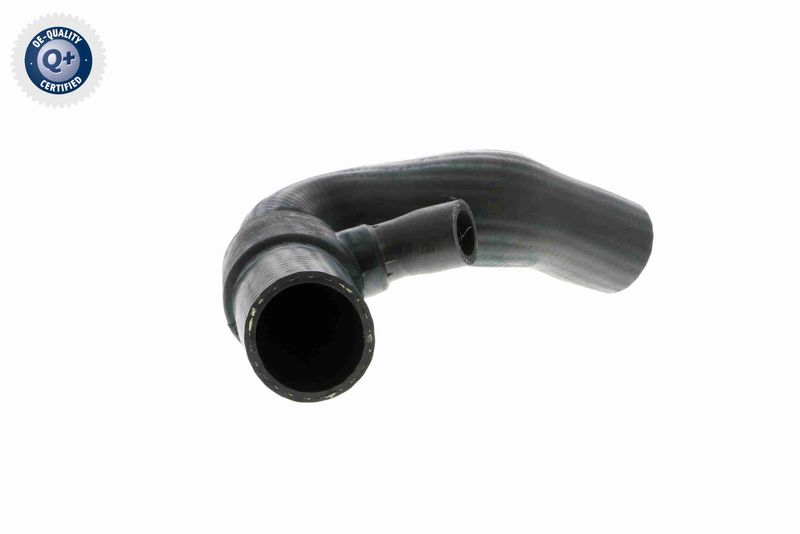 VAICO V10-2875 Charge Air Hose