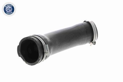 Charge Air Hose VAICO V10-2877