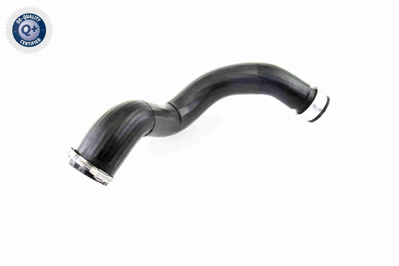 VAICO V10-2879 Charge Air Hose