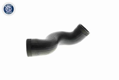 Charge Air Hose VAICO V10-2893