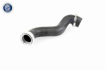 Charge Air Hose VAICO V10-2915