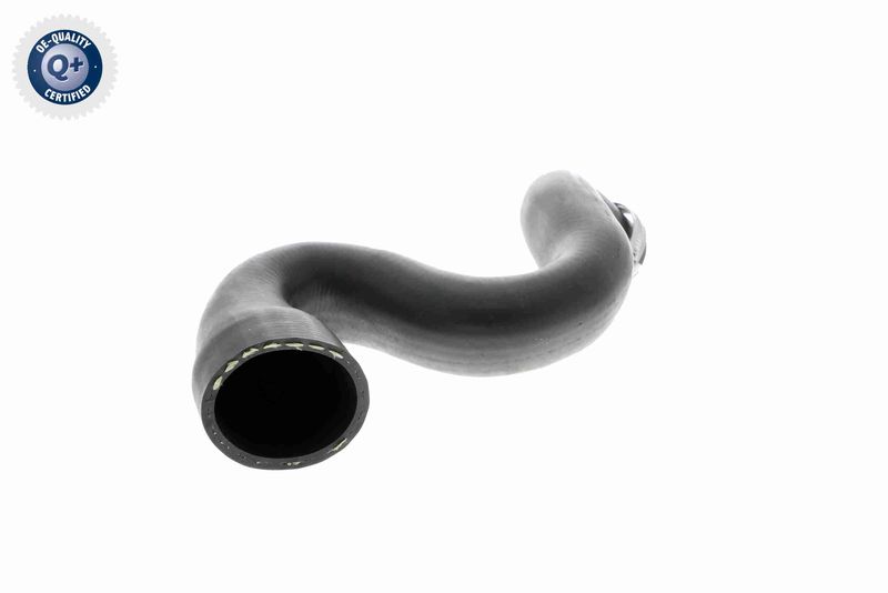 VAICO V10-2917 Charge Air Hose