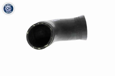 Charge Air Hose VAICO V10-2923