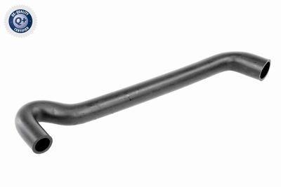 Hose, crankcase ventilation VAICO V10-2937