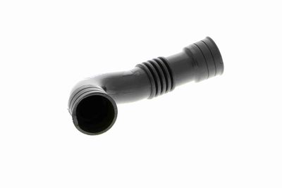 Hose, crankcase ventilation VAICO V10-2939