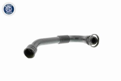 Hose, crankcase ventilation VAICO V10-2941