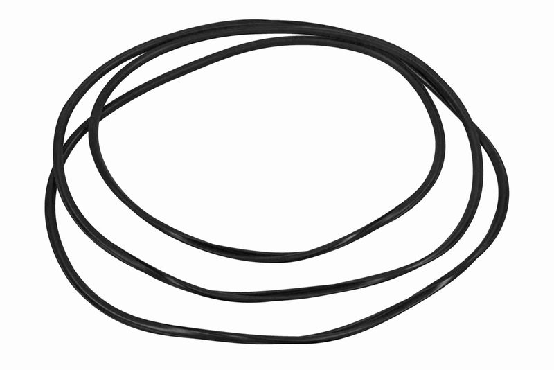 VAICO V10-3042 Seal, windscreen