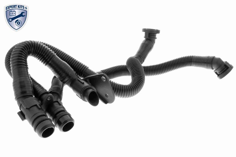 VAICO V10-3503 Hose, crankcase ventilation