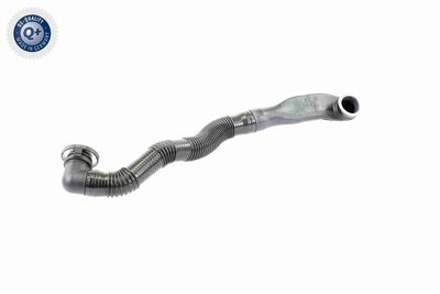 Hose, air supply VAICO V10-3584