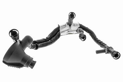 Hose, crankcase ventilation VAICO V10-3695
