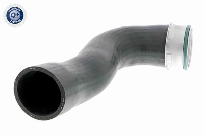 Charge Air Hose VAICO V10-3769