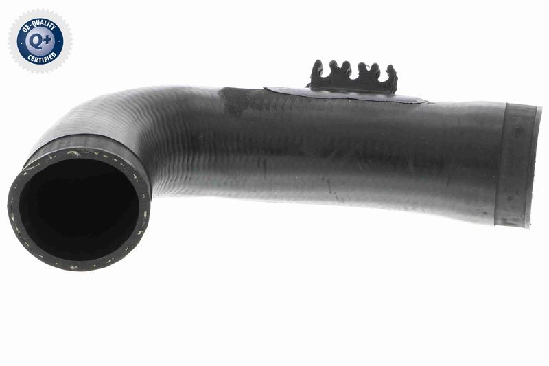 VAICO V10-3771 Charge Air Hose